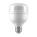 Lampara LED Alta Potencia 20w Fria Macroled