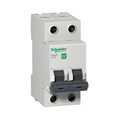 Termica 2X25A C 4.5kA E9 Schneider